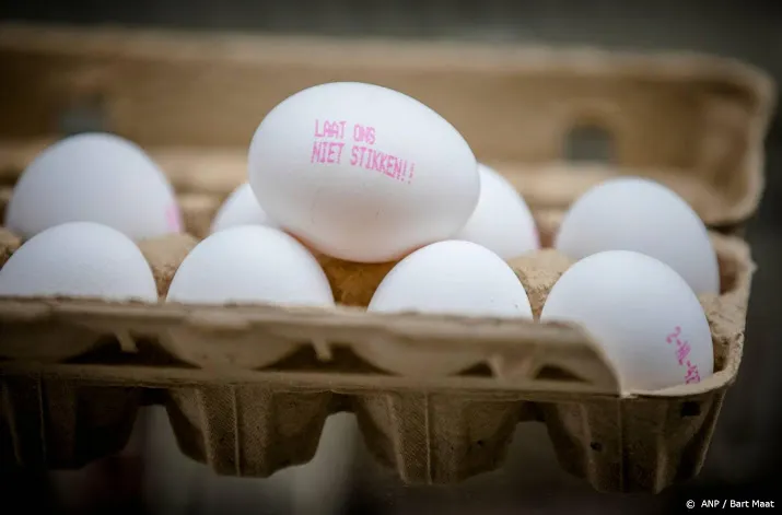 advocaat middel chickfriend niet schadelijk