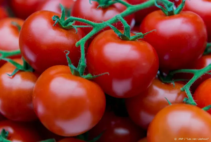 agractie gaat boerenproducten voor symbolische prijs verkopen