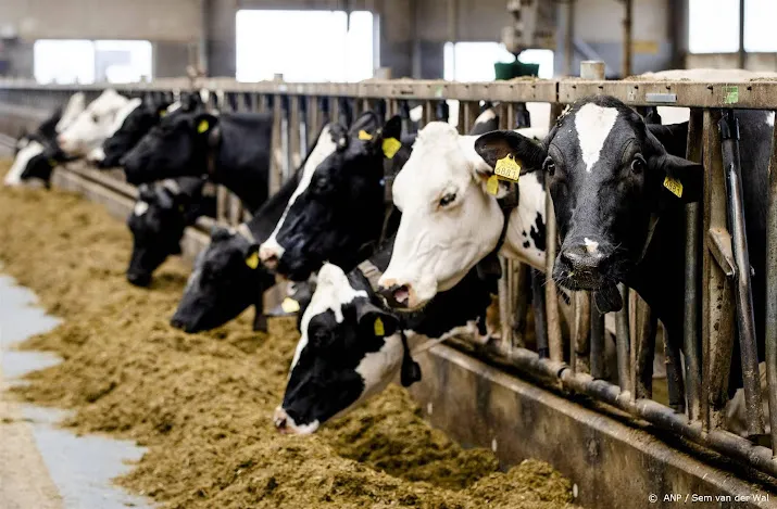 agractie norm aantal koeien per hectare groot struikelblok