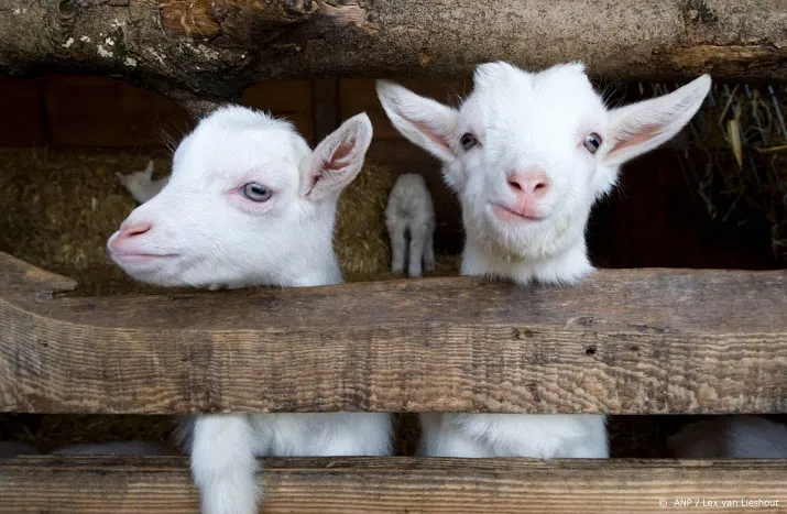 al kwart kinderboerderijen rookvrij