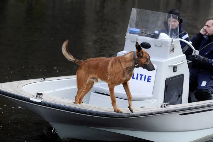 amsterdammer 26 vermist na bezoek aan cafe
