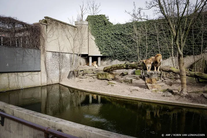 artis begint maandag met kaartverkoop voor proefopening