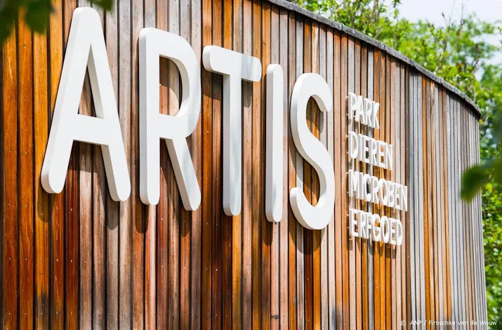 artis neemt noodgedwongen afscheid van leeuwen