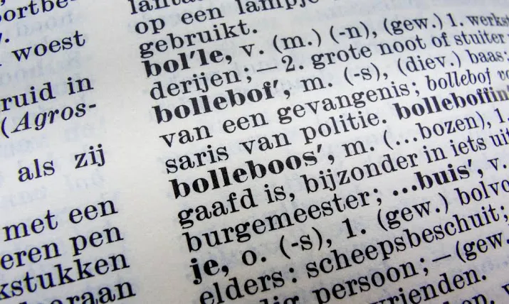baas woordenboek stemt niet om spatie