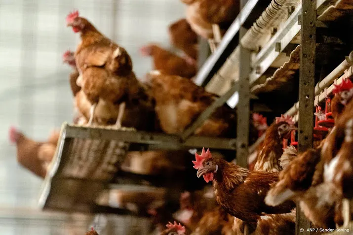 belgisch kweekvleesbedrijf peace of meat in israelische handen