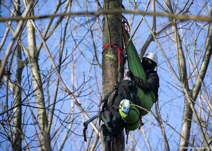 betogers in sterrebos kregen bomenklimtraining