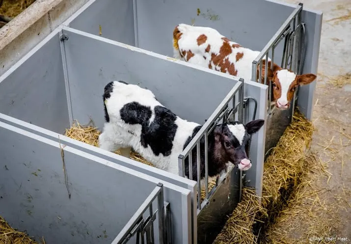 bewering longkwalen kalfjes niet reeel