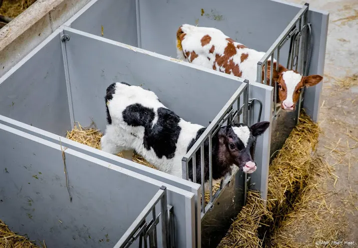 bewering longkwalen kalfjes niet reeel