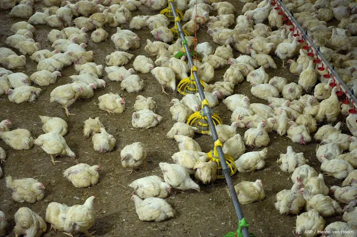 bijna 30 miljoen productiedieren gestorven buiten de slacht om