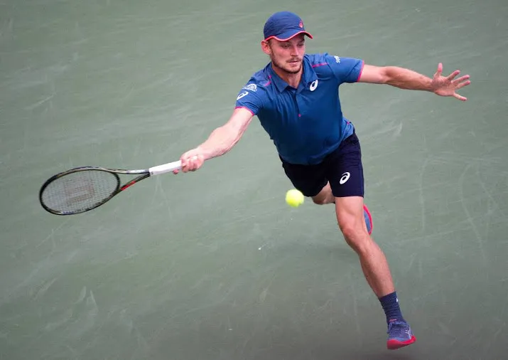 blessure houdt tennisser goffin uit tokio