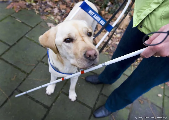 blinde man in bussum op straat mishandeld dader gevlucht