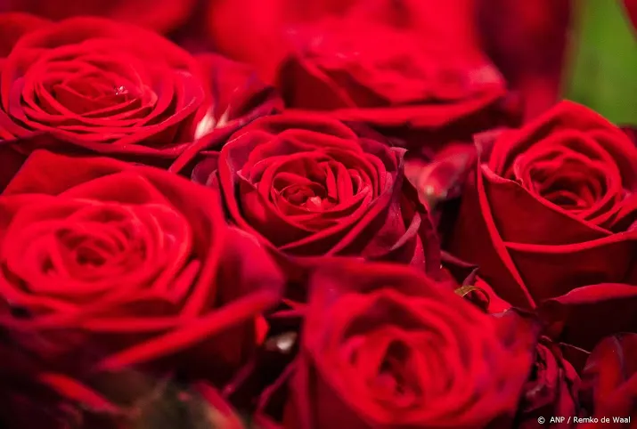 bloemen gewild voor valentijnsdag ondanks corona en winterweer
