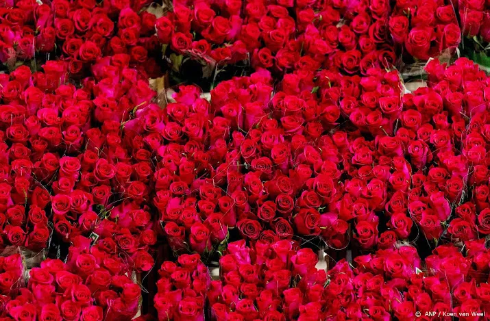 bloemen voor valentijnsdag duurder maar nog steeds populair