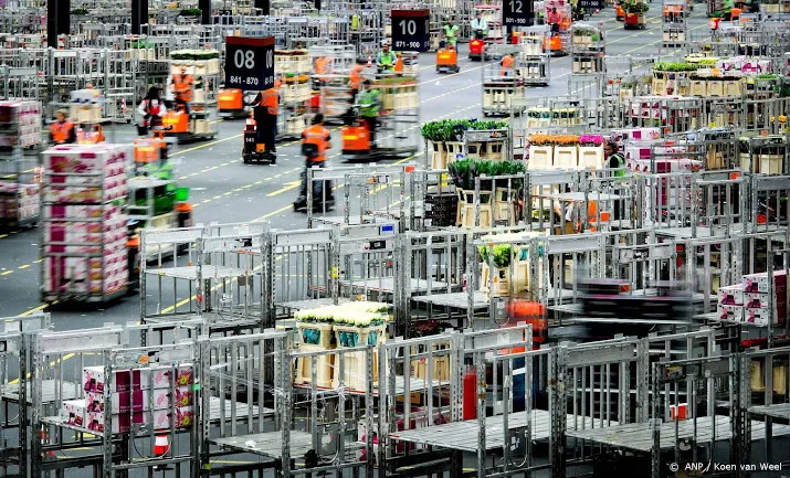 bloemenexport brexit kan roet in eten gooien
