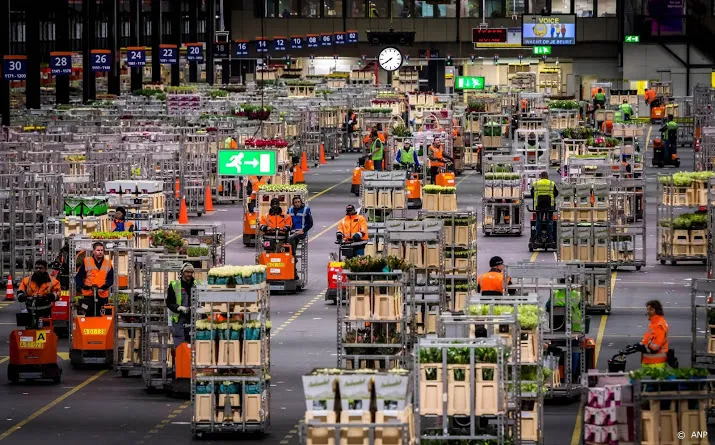 bloemenexport herhaalt recordomzet