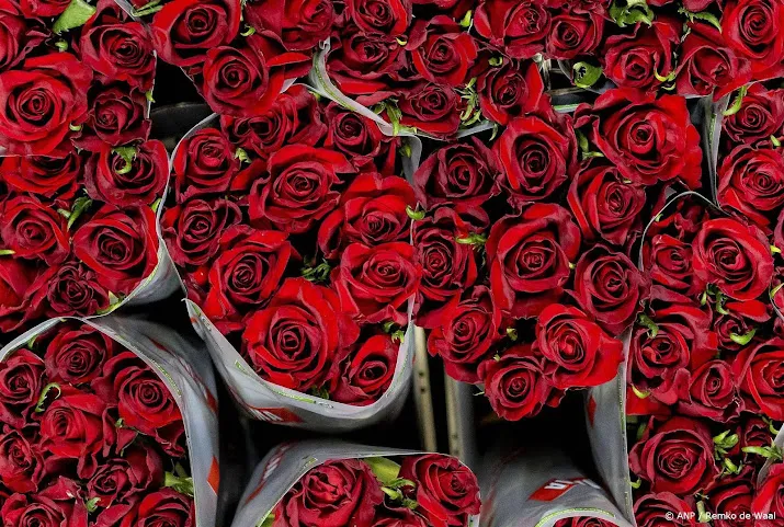 bloemenexport omlaag verkoop valentijnsdag blijft wel gelijk