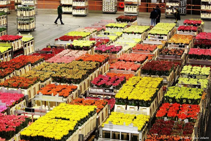 bloemenverkoop fleurop voor valentijnsdag naar record