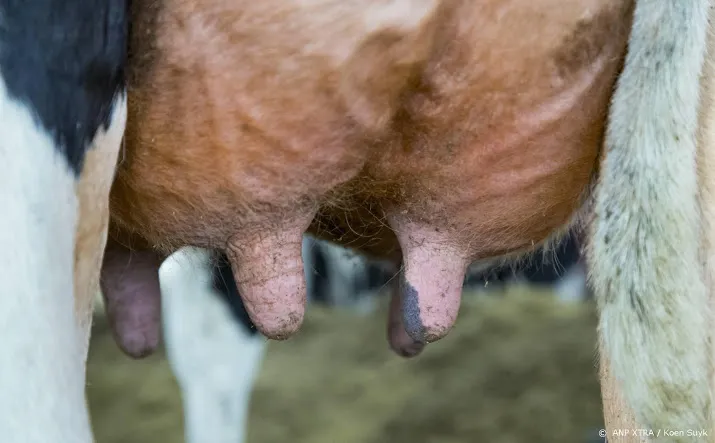 boer verkoopt vaker direct aan consument eettent of tuincentrum