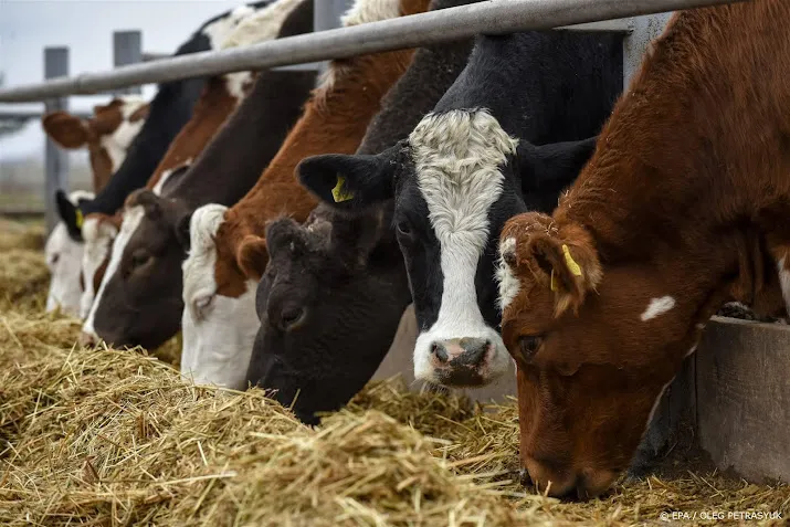 boer zoekt koper maar interesse valt tegen
