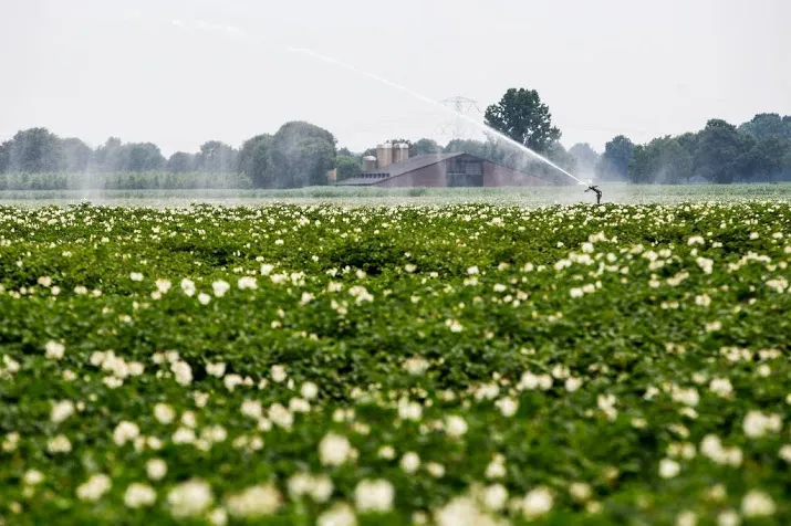 boeren brabant mogen voorlopig niet sproeien