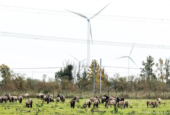 boeren verdienen steeds vaker bij bijvoorbeeld met windmolens