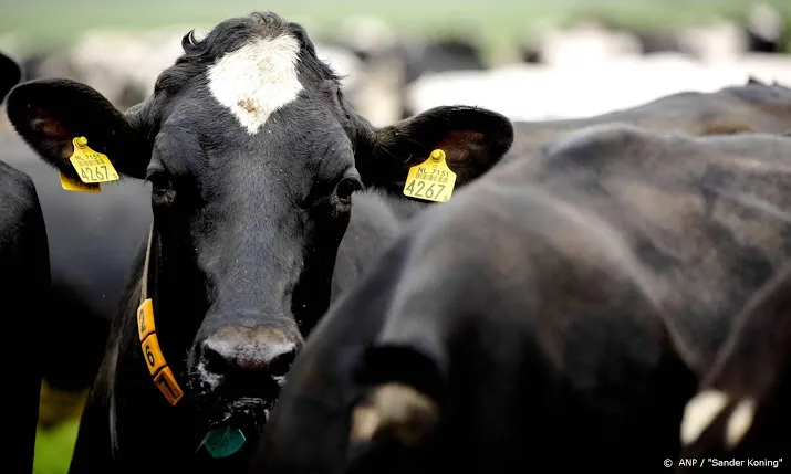 boeren willen meer geld en steun voor groene landbouw