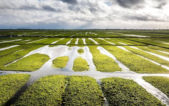 boeren worden overladen met maatregelen zegt lto