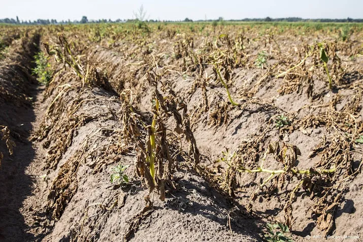 boerenorganisatie slimmer omgaan met zoetwater tegen droogte