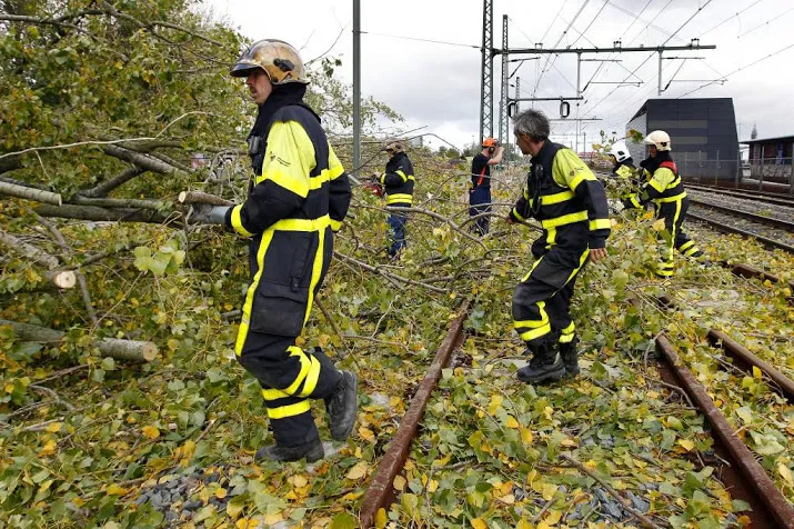 bomen beter snoeien tegen treinstoringen