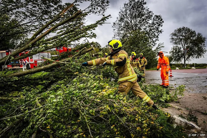bomen op sporen en wegen door storm pia