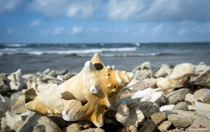 bonaire begint voorzichtig met versoepelen coronamaatregelen