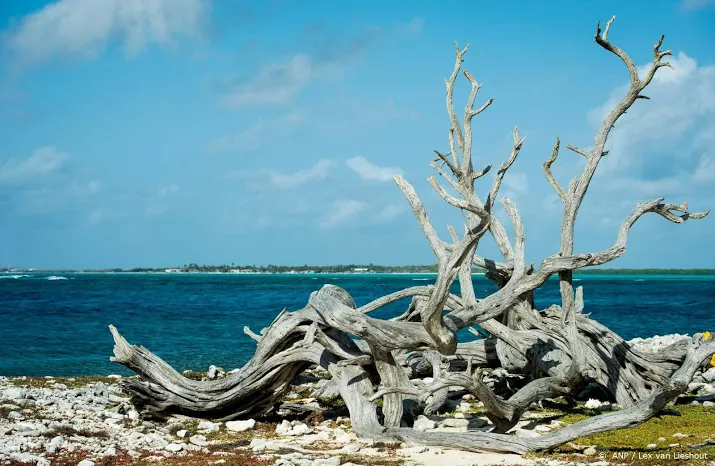 bonaire weer open voor vluchten uit vs en canada