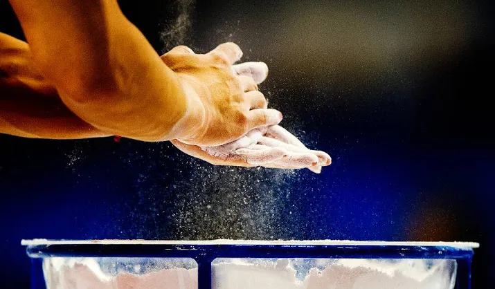 bondscoach japanse turnsters geschorst