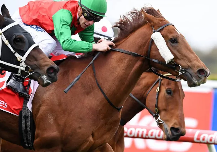 bookmaker gvc wil concurrent ladbrokes kopen