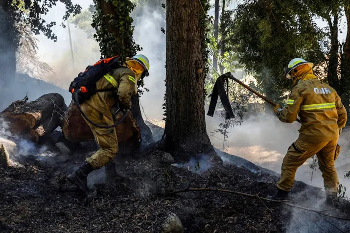 brand algarve nederlanders niet in problemen