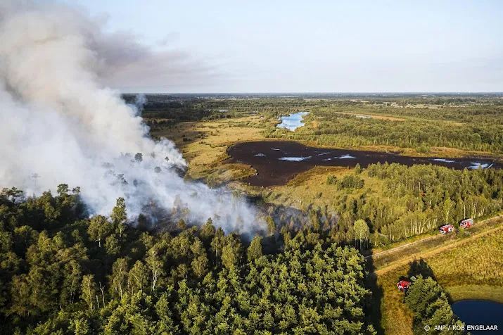 branden in bosgebied bij deurne vermoedelijk aangestoken