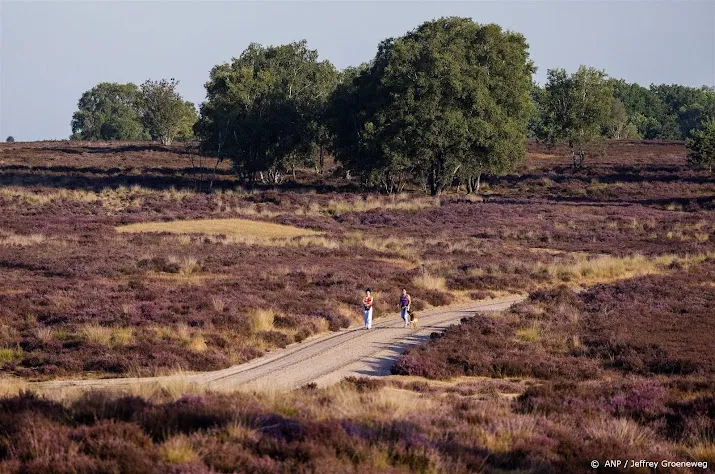 brandweer start verkenningsvluchten tegen natuurbranden veluwe