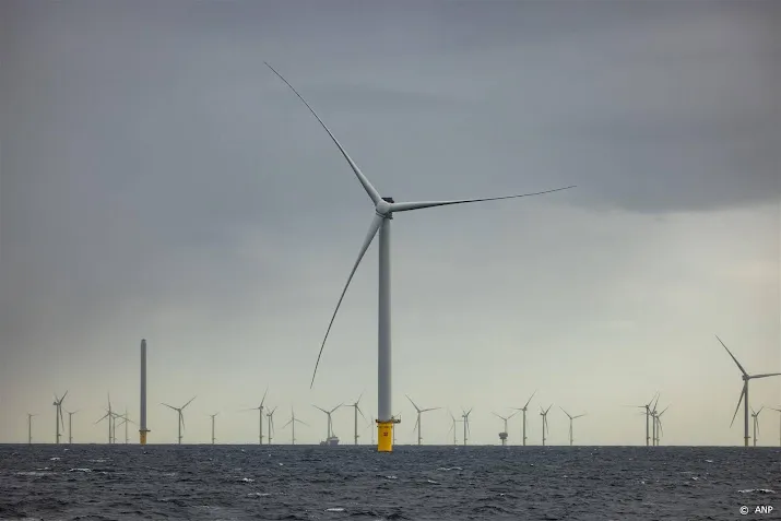 bruinvisonderzoek nodig voor windpark in zee bij ijmuiden
