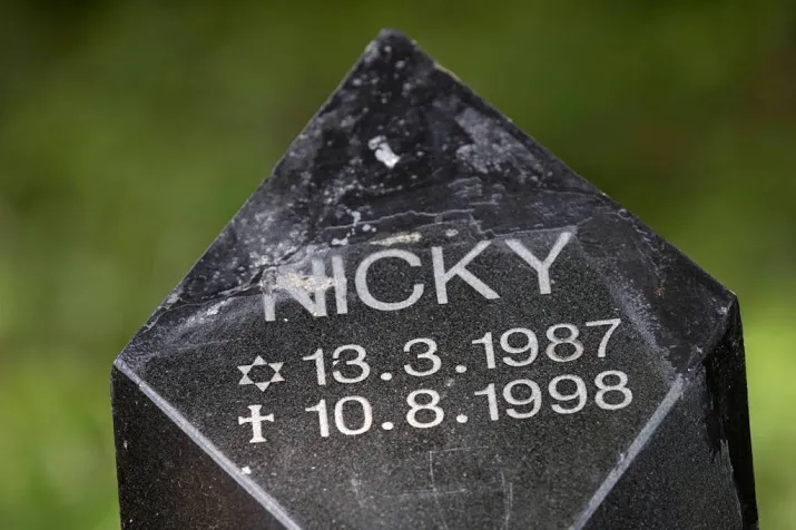 burgemeester staat dna af in moordzaak nicky