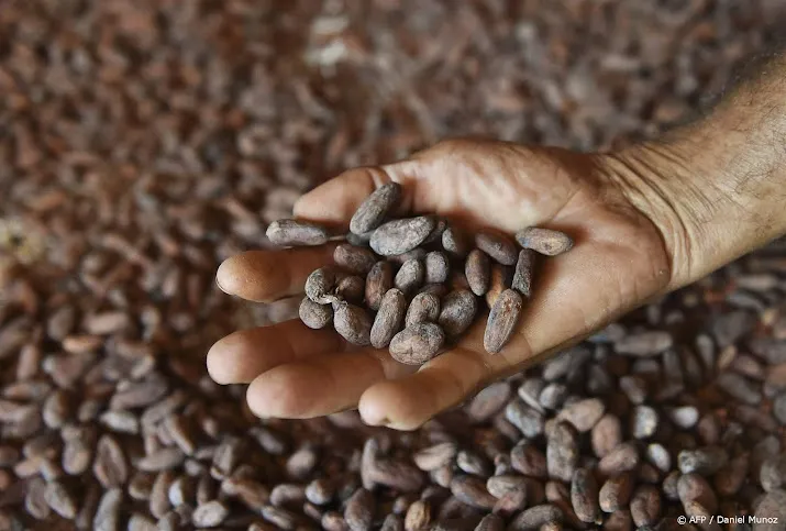 cacao voor hoogste prijs sinds 1977 verhandeld