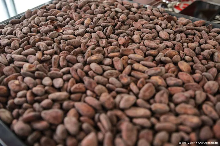 cacaoboeren gaan in brussel protesteren tegen lage prijzen