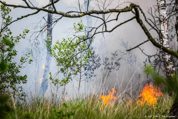 camping en manege ontruimd om grote heidebrand meinweg