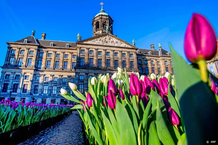 canadese veteraan krijgt tulpenbollen