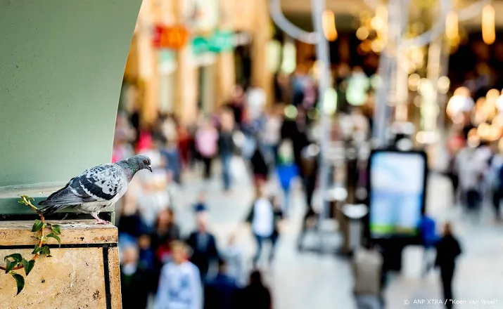 cbs bezoekt geen winkels meer om inflatie te meten