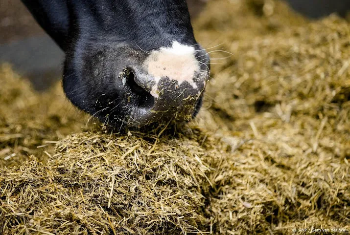 cbs landbouwproductie gestegen hoeveelheid stikstof gedaald