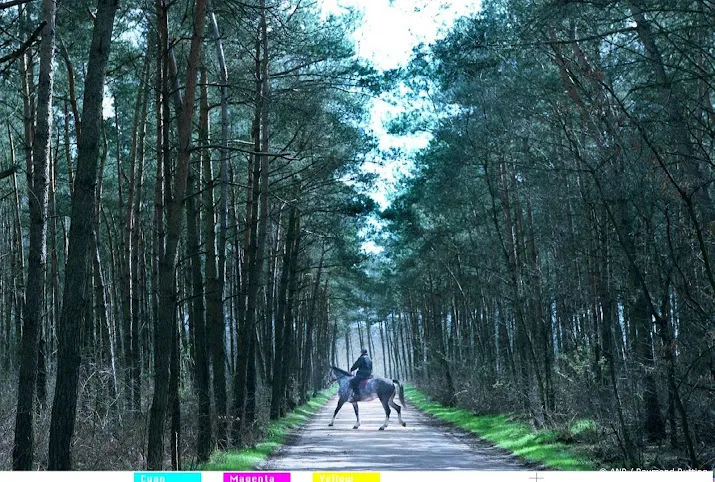 cbs minder natuur en bos in nederland meer plekken bebouwd