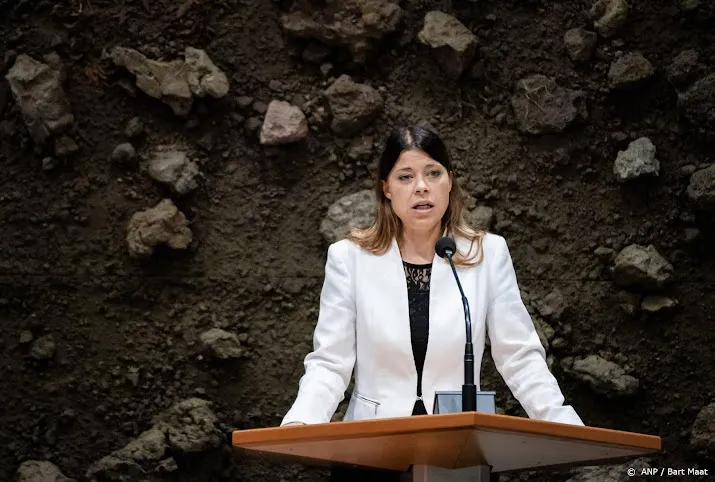 cda en groenlinks haal woord krankzinnig uit wet bes eilanden