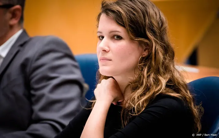cda wil dat betaalde seks strafbaar wordt