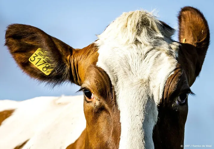 cda wil landbouw omvormen veehouderij zal gaan krimpen