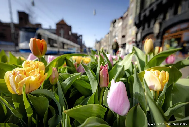 centralebankgouverneur india tulpen hebben waarde cryptos niet